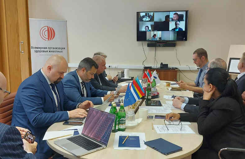Семинар ЕЭК и ВОЗЖ по ветеринарной сертификации